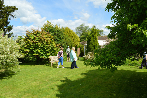 Warren Cottage